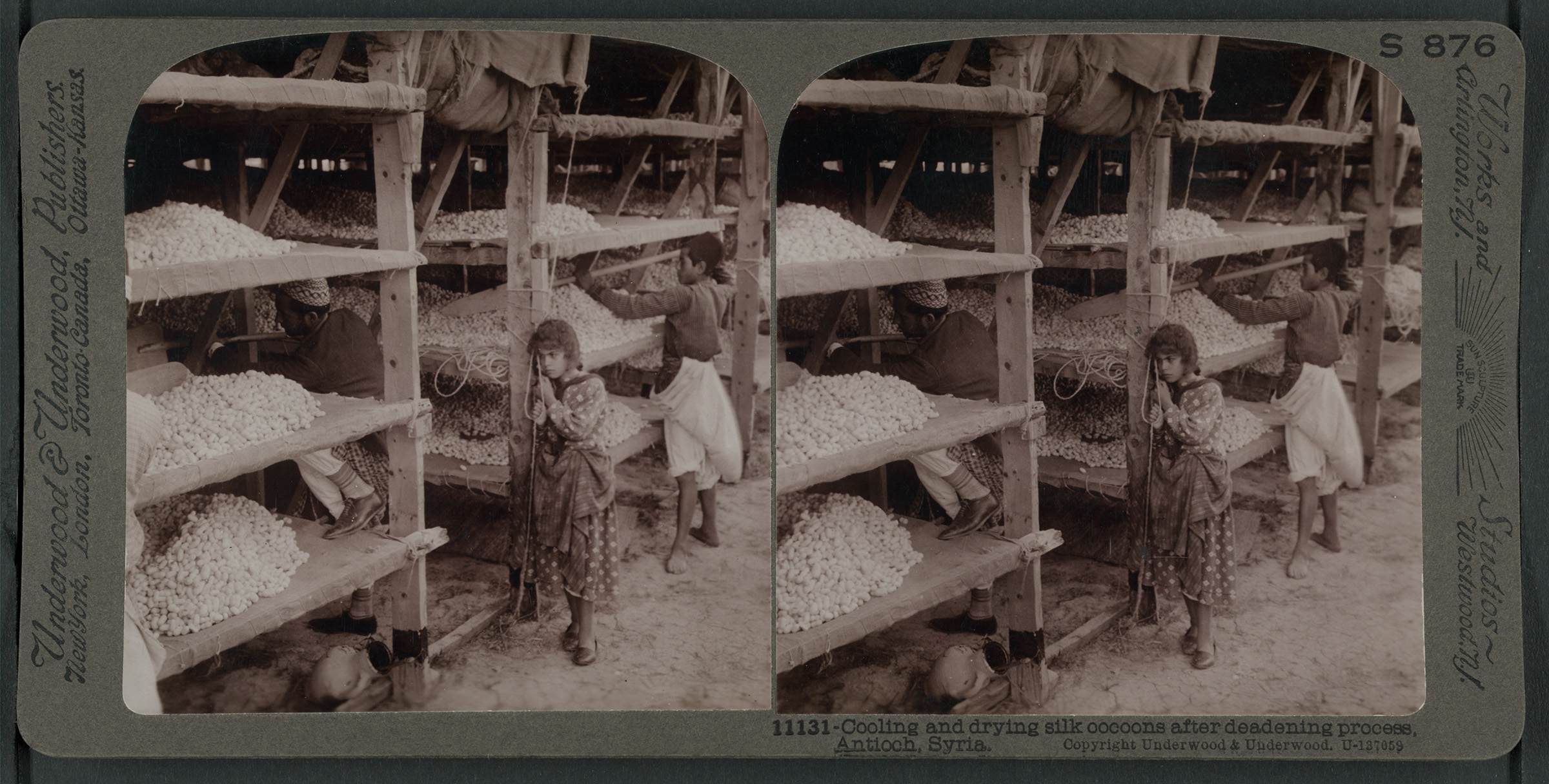 Cooling and drying silk cocoons after deadening process, Antioch, Syria